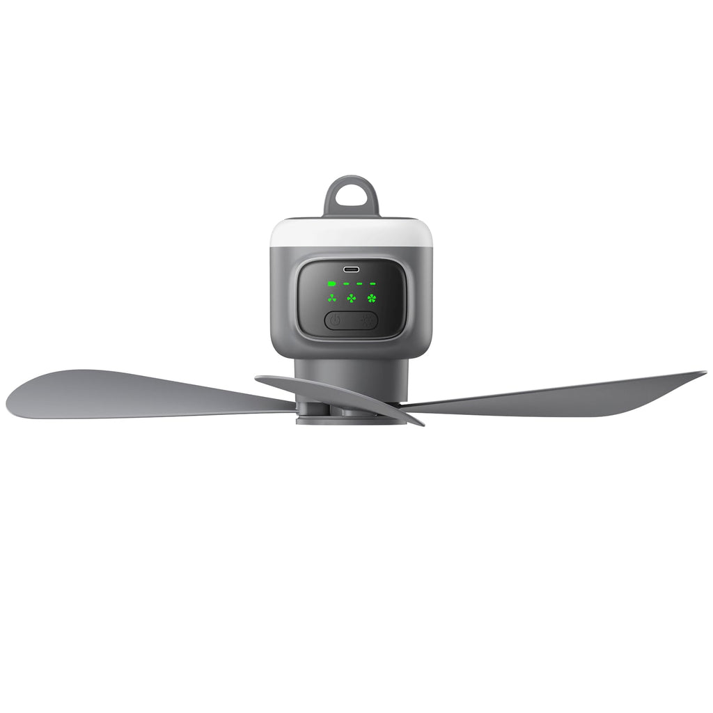 Portable Ceiling Fan with Light R738