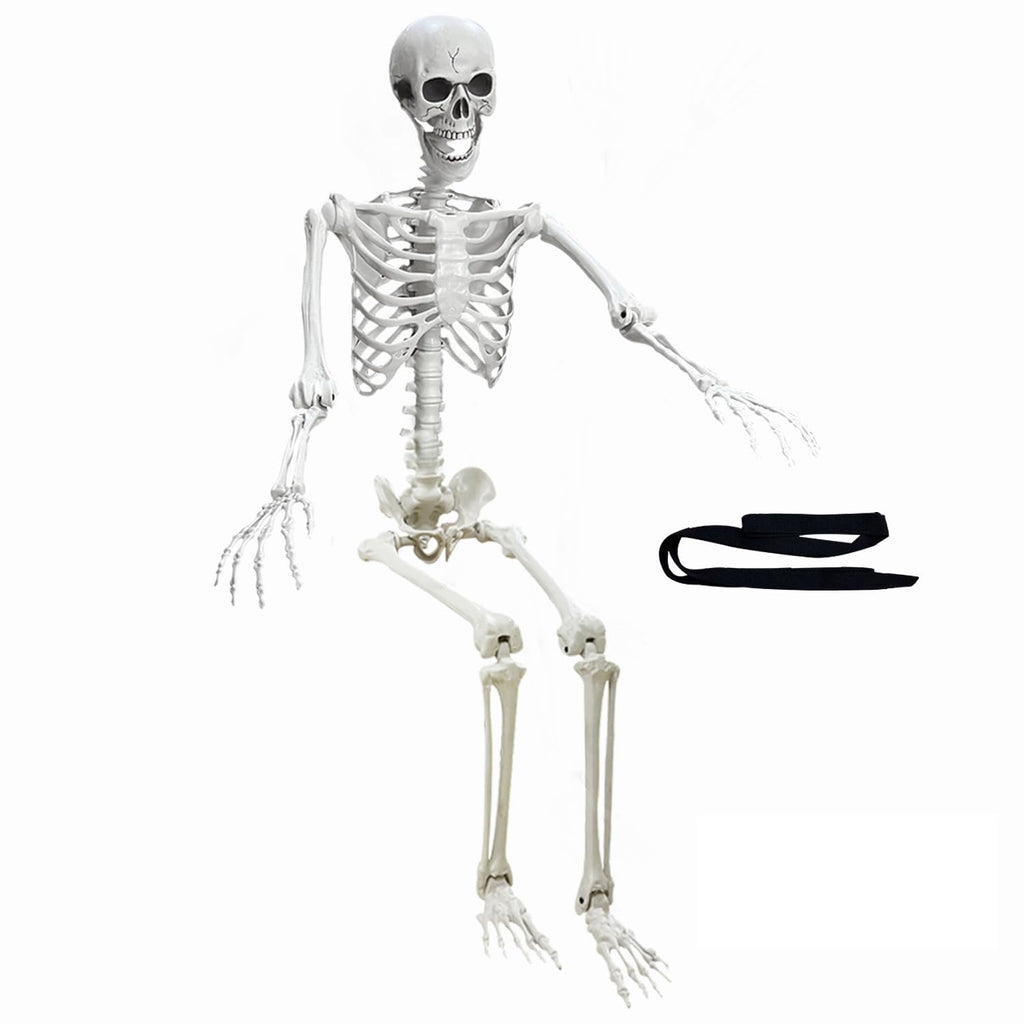 5.4Ft Poseable Life Size Human Skeleton with Rope X7091