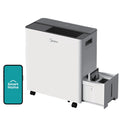 50 Pint Dehumidifier with Pump F80616