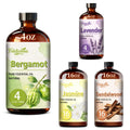 Essential Oil Set, 4 Scents with Glass Dropper I663927