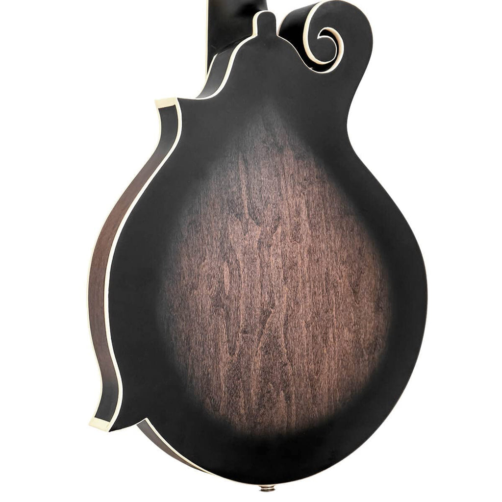 F-style Mando-Guitar with Pickup and Hard Foam Case J859