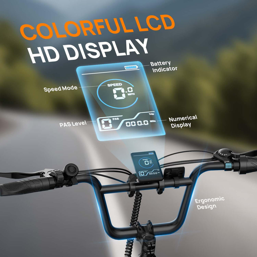 20" Fat Tire Electric Bike with 1000W Motor F32980