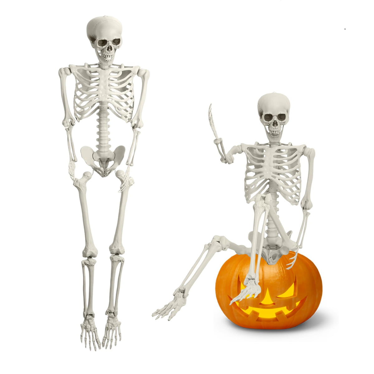 5.4FT Posable Full Body Skeleton with Movable Joints N2791