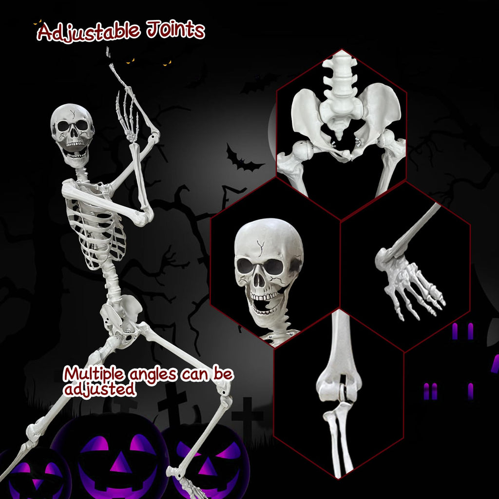 5.4Ft Poseable Life Size Human Skeleton with Rope X7091