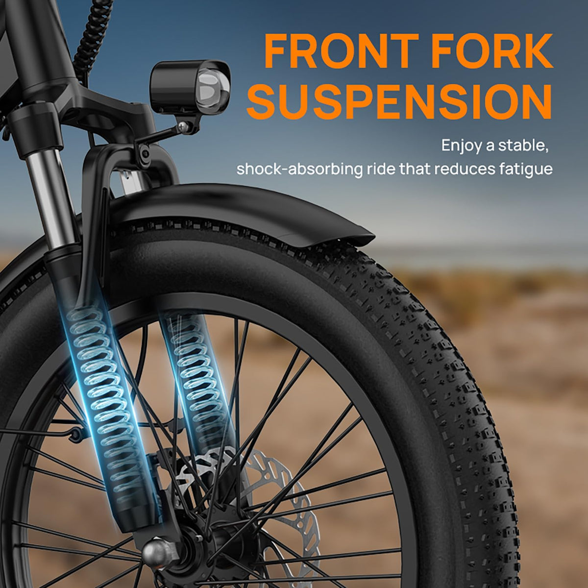 20" Fat Tire Electric Bike with 1000W Motor F32980