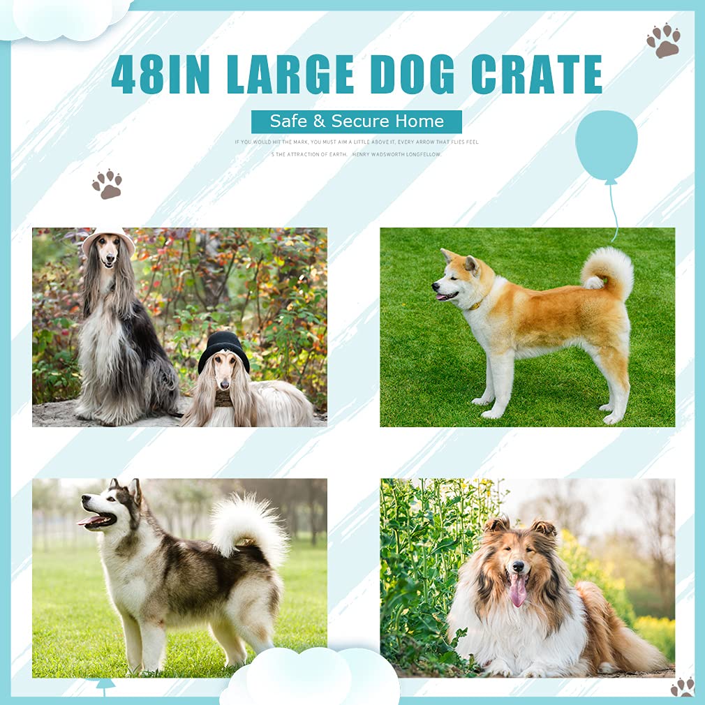 Black Metal Dog Crate Q55878