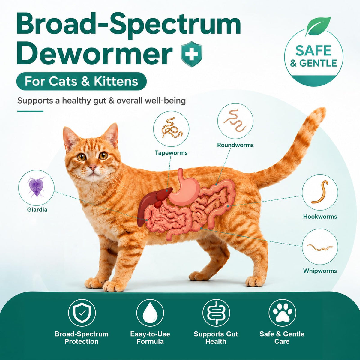 Liquid Dewormer for Tapeworms, Roundworms & Hookworms, 120 mL V63256