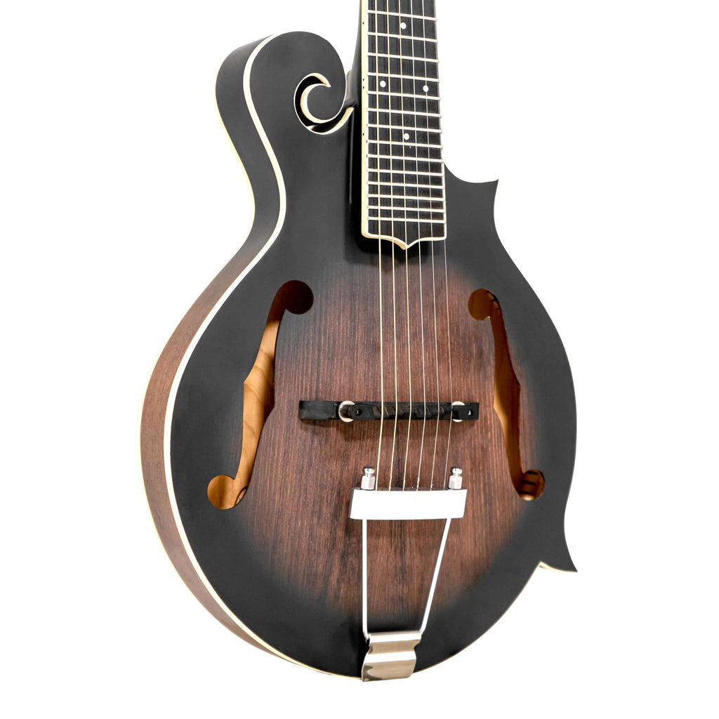 F-style Mando-Guitar with Pickup and Hard Foam Case J859
