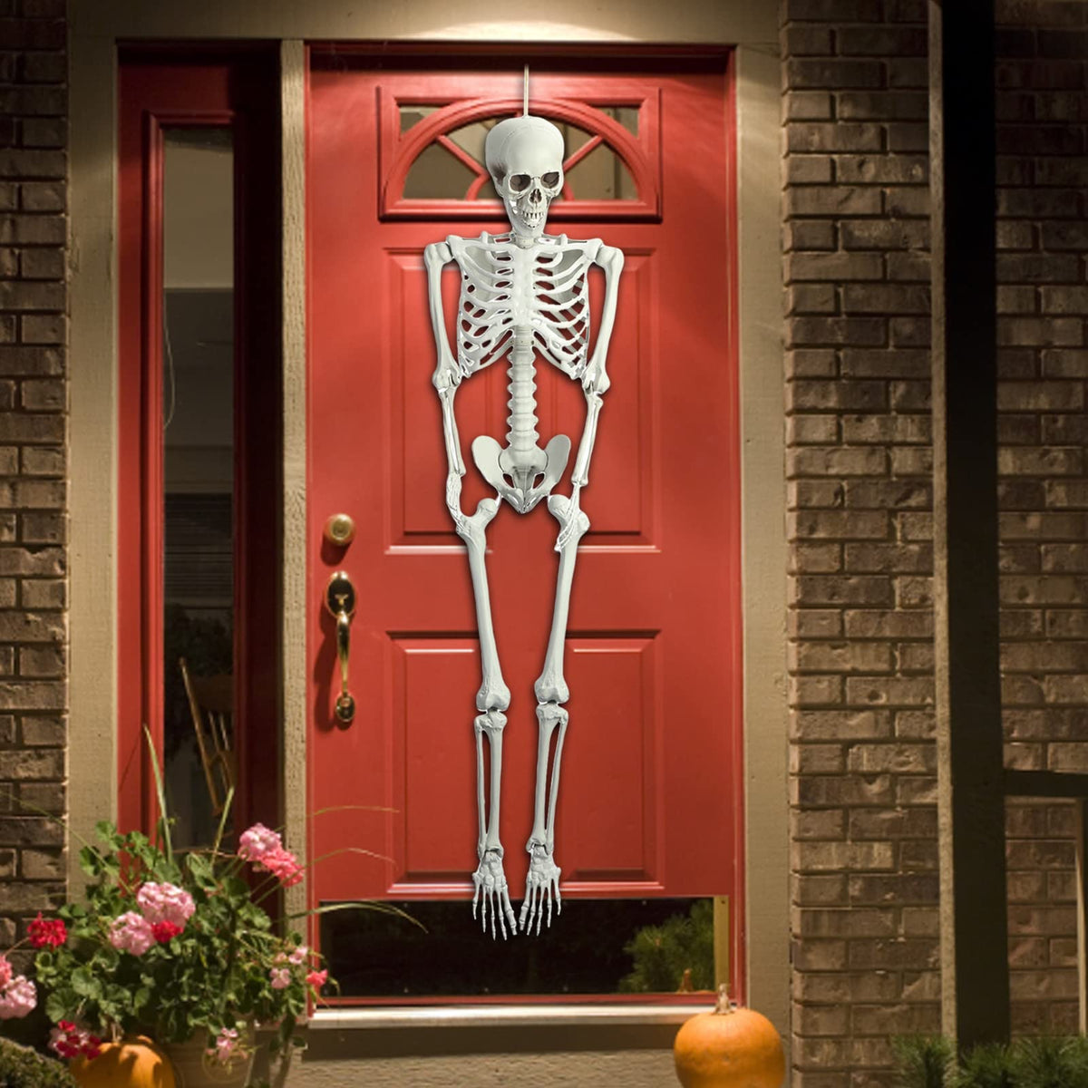 5.4FT Posable Full Body Skeleton with Movable Joints N2791