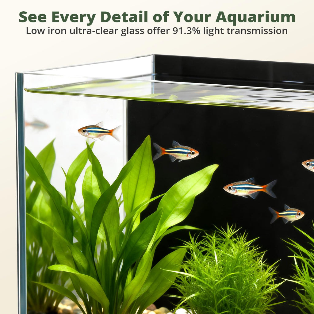 2.5 Gallon Fish Tank with Filter B382