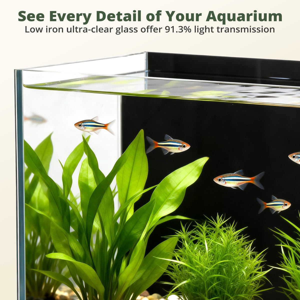 2.5 Gallon Fish Tank with Filter B382