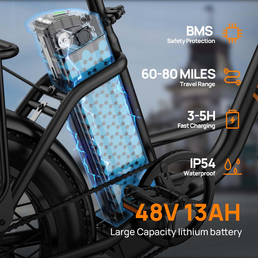 20" Fat Tire Electric Bike with 1000W Motor F32980