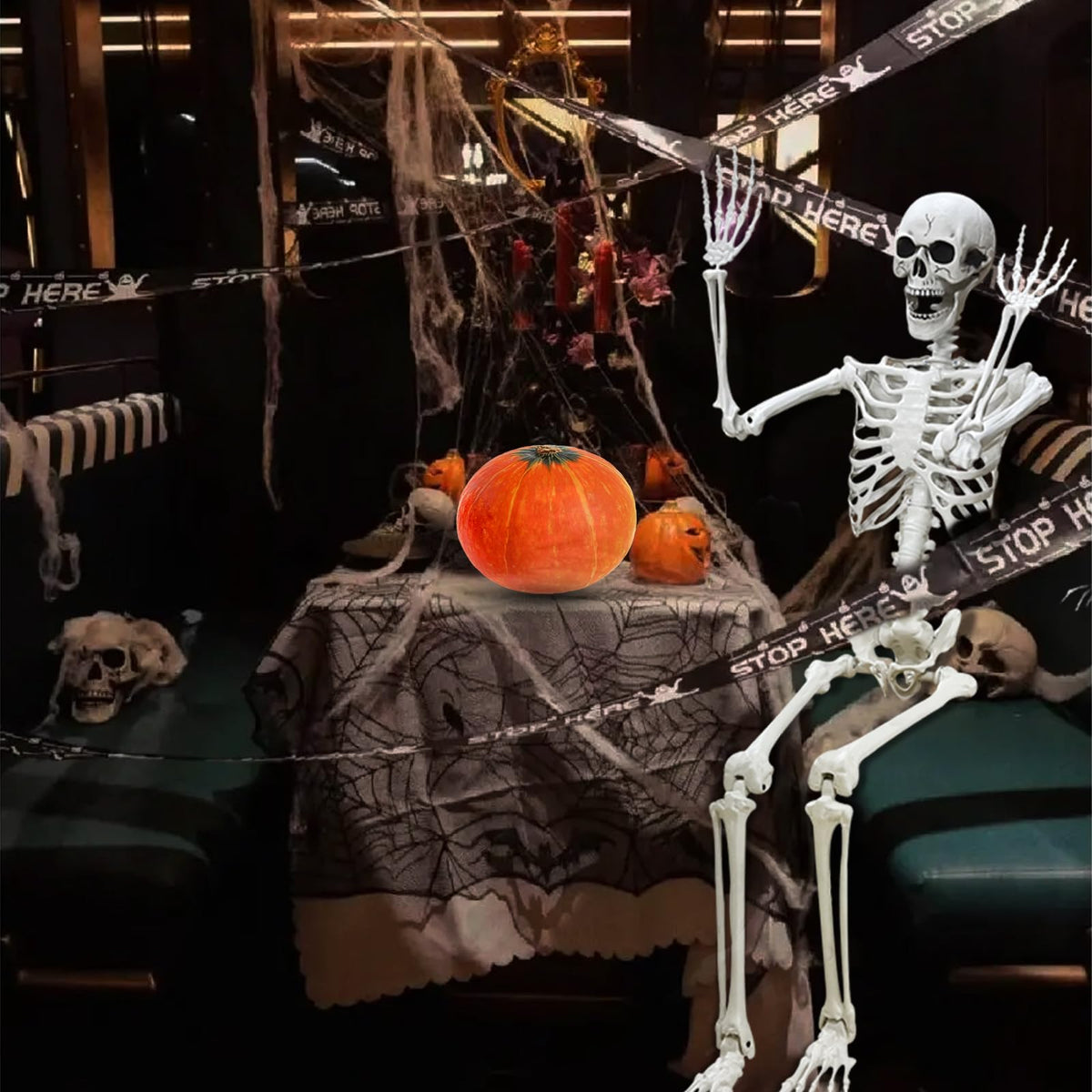 5.4Ft Poseable Life Size Human Skeleton with Rope X7091