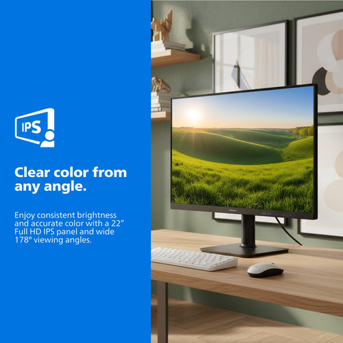 22 Inch FHD 120Hz IPS Computer Monitor W25110