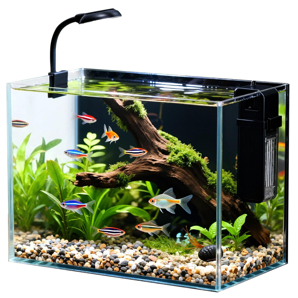 2.5 Gallon Fish Tank with Filter B382