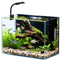 2.5 Gallon Fish Tank with Filter B382