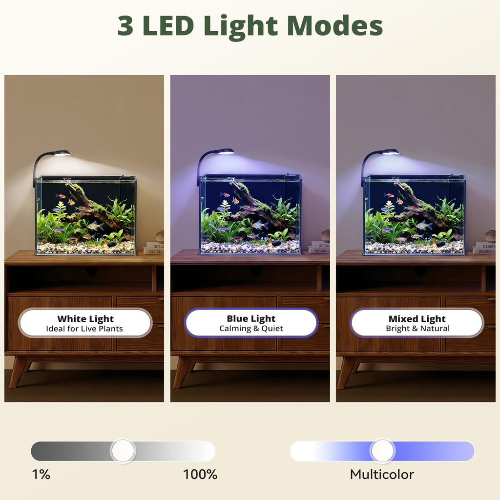 2.5 Gallon Fish Tank with Filter B382