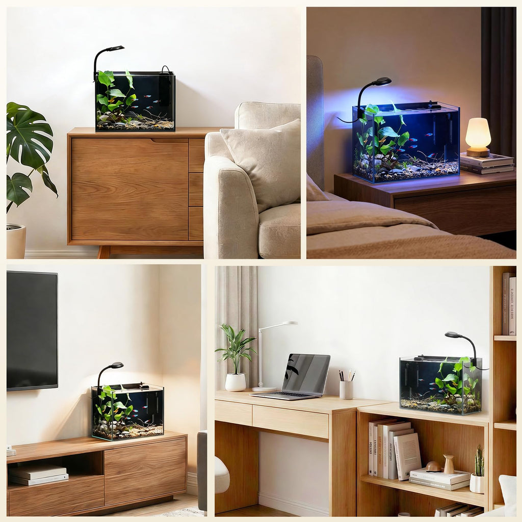 2.5 Gallon Fish Tank with Filter B382