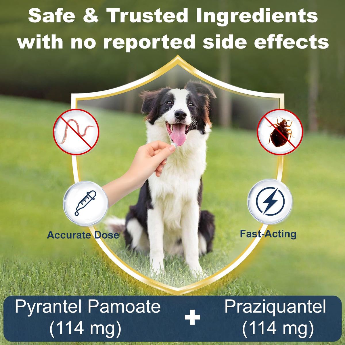 7-Way Dewormer for Dogs, 30 Tablets S981