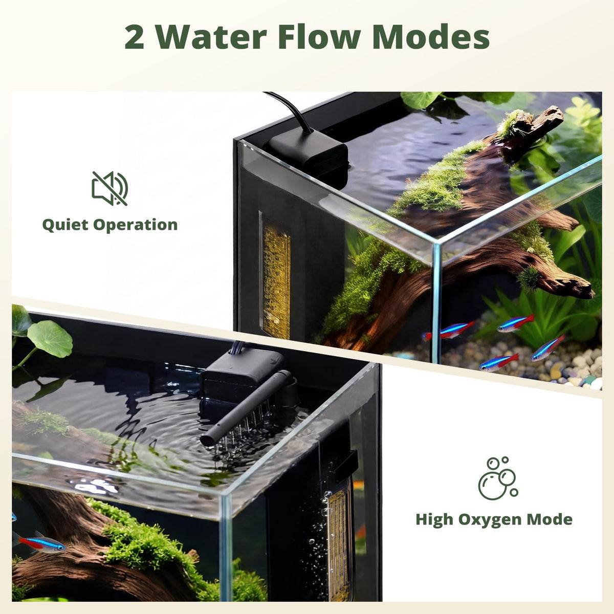 2.5 Gallon Fish Tank with Filter B382