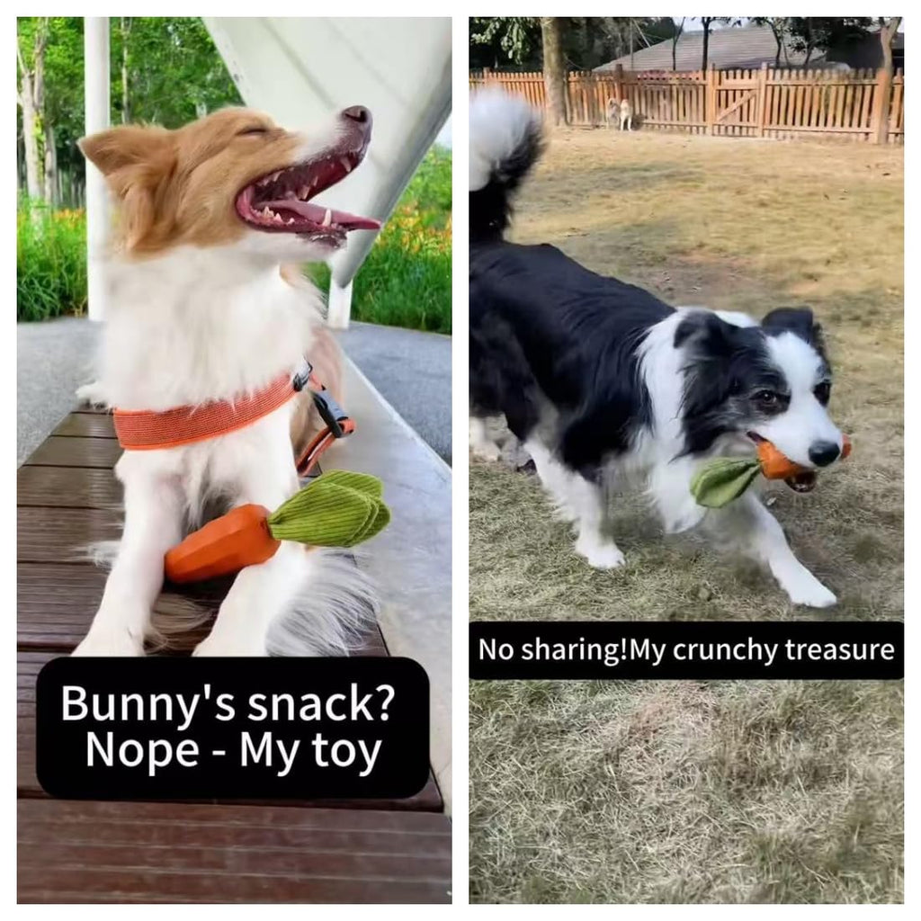 Rubber Squeaky Dog Chew Toys Z731