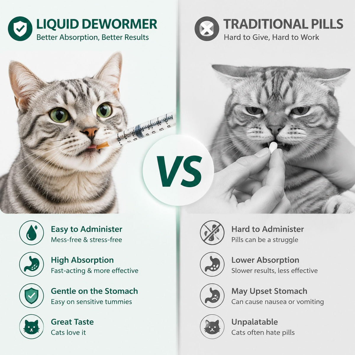 Liquid Dewormer for Tapeworms, Roundworms & Hookworms, 120 mL V63256