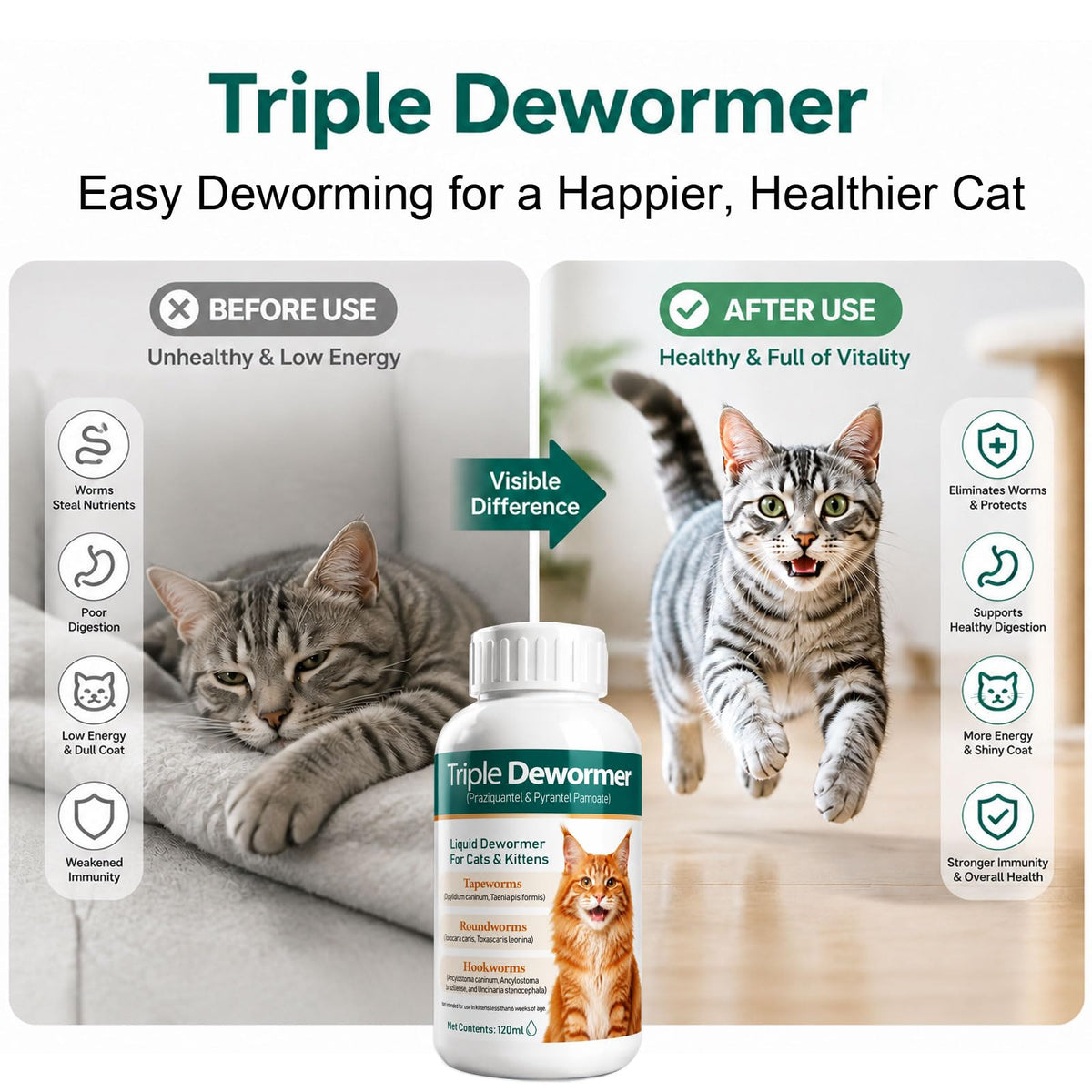 Liquid Dewormer for Tapeworms, Roundworms & Hookworms, 120 mL V63256