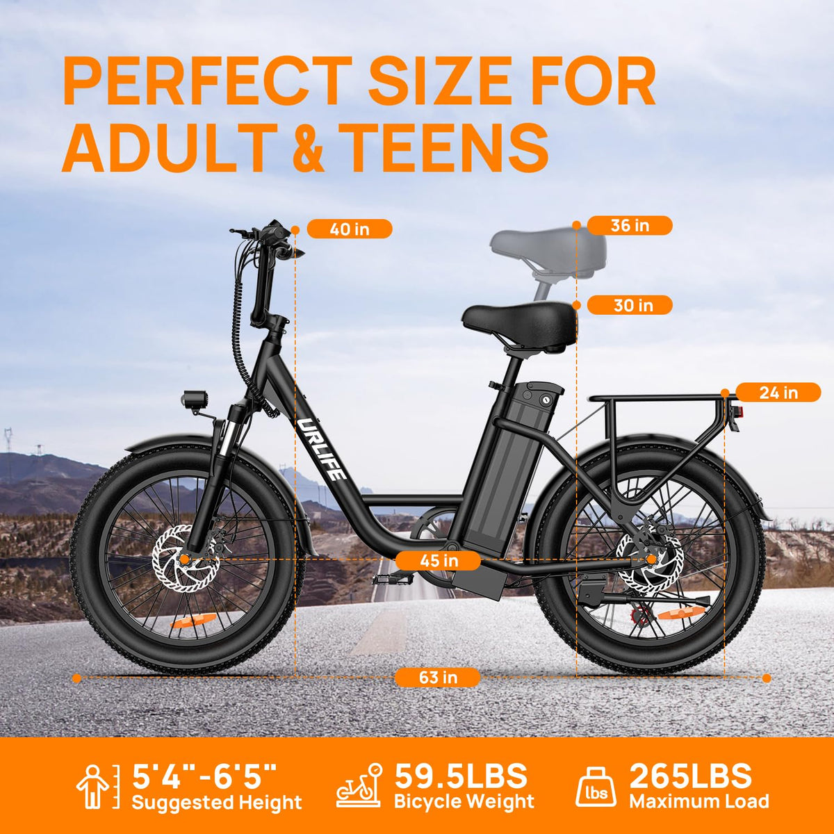 20" Fat Tire Electric Bike with 1000W Motor F32980