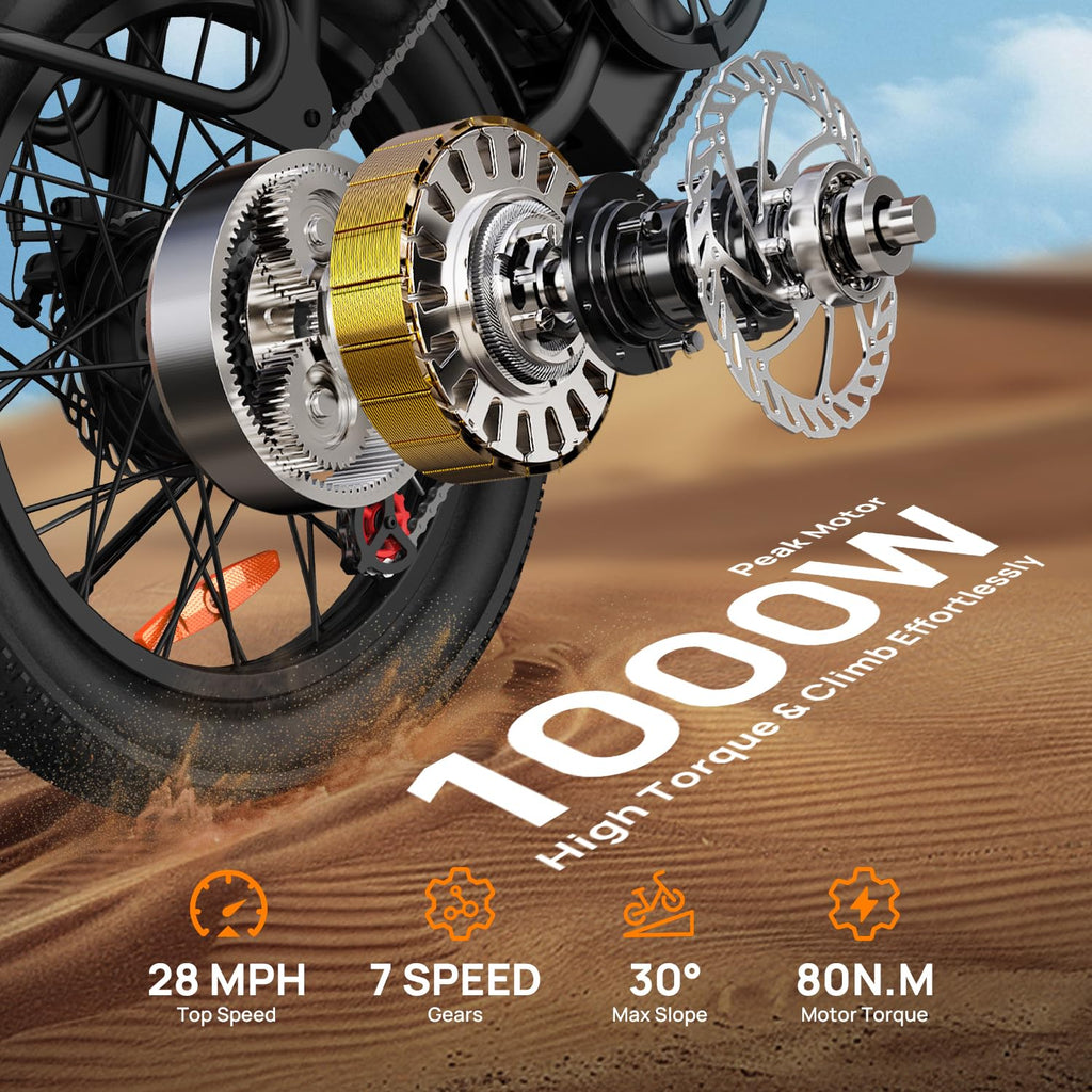 20" Fat Tire Electric Bike with 1000W Motor F32980