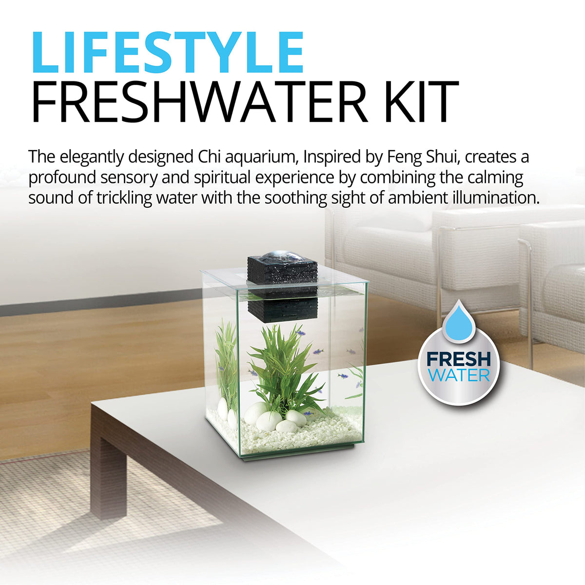 5-Gallon Aquarium Set N444