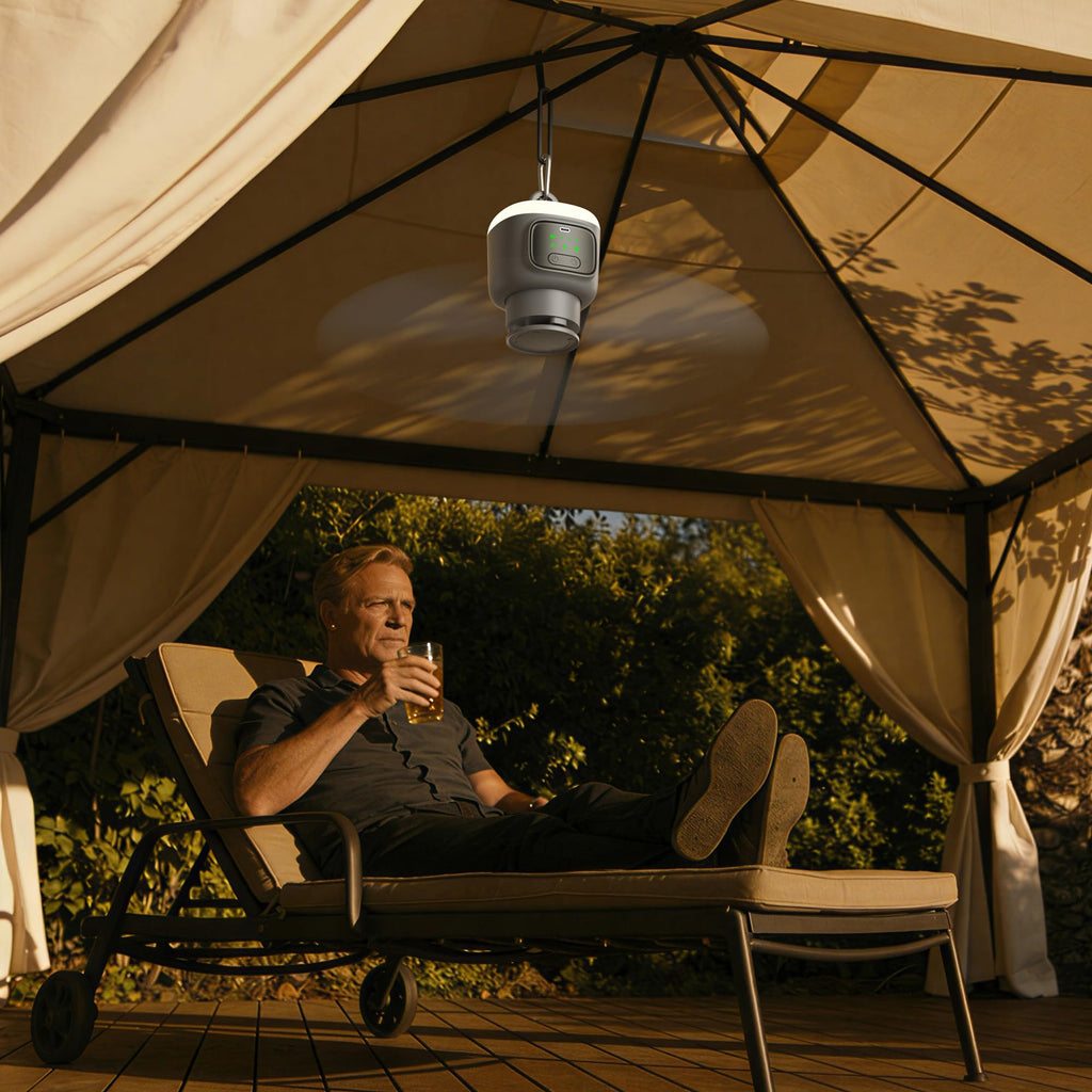 Portable Ceiling Fan with Light R738