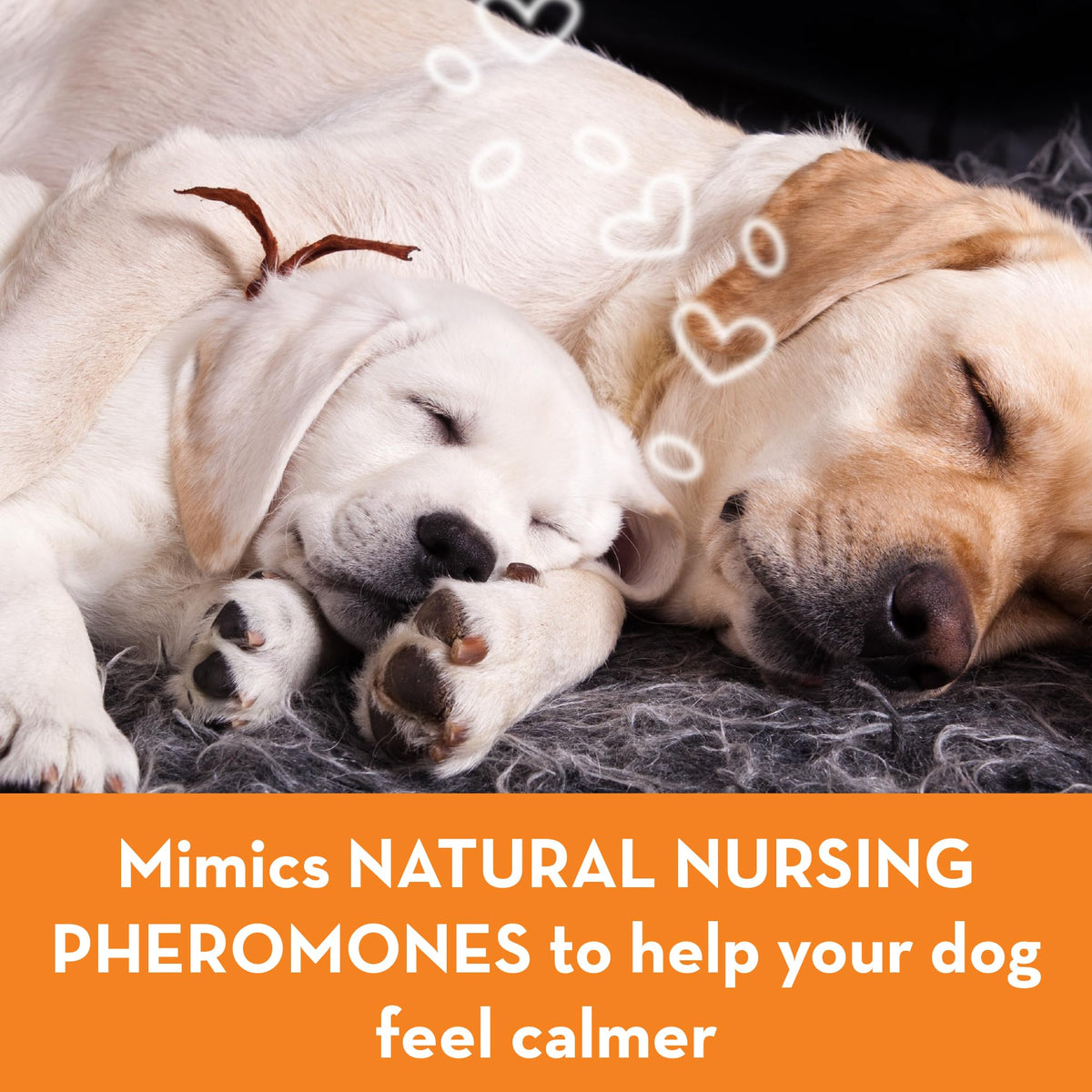 Calming Collar for Dogs (Large) G84465