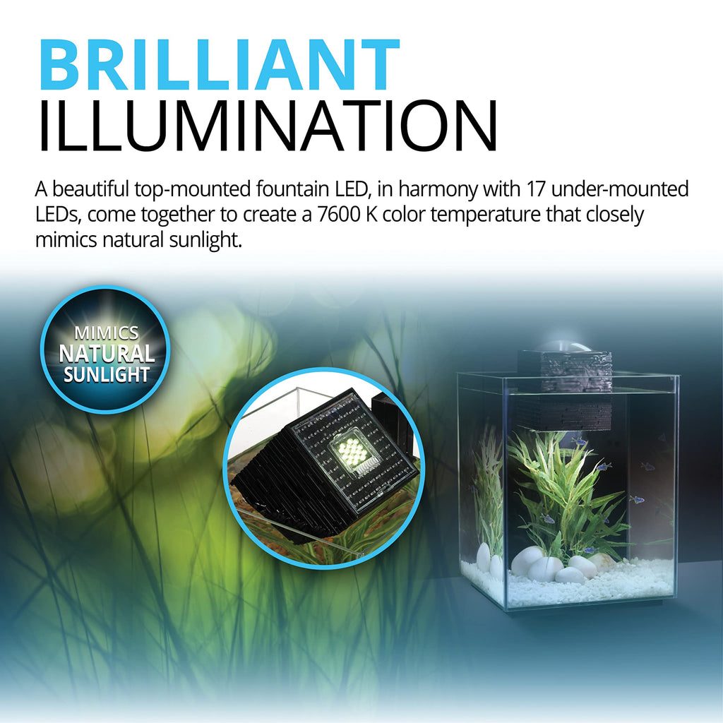 5-Gallon Aquarium Set N444
