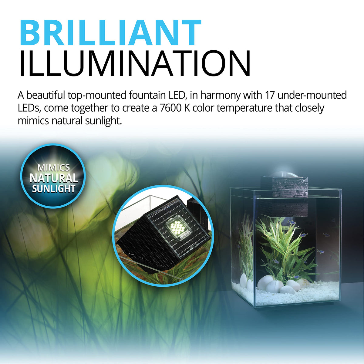 5-Gallon Aquarium Set N444