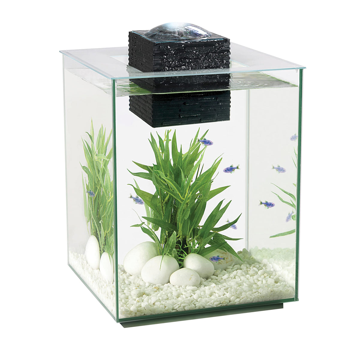 5-Gallon Aquarium Set N444