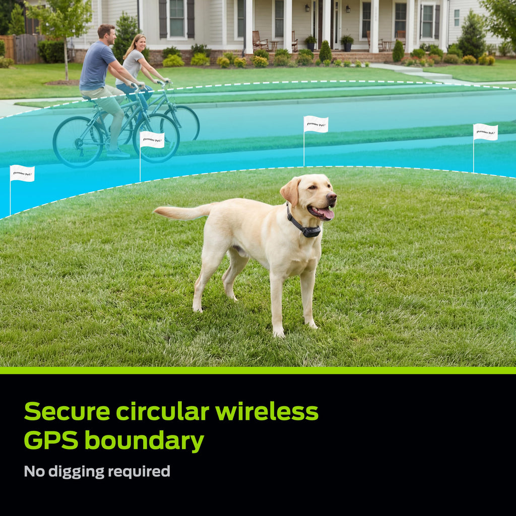 Wireless Fence C44364
